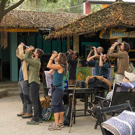 Chitwan Gaida Lodge - Animal Lovers & Birdwatchers Paradise Sauraha Eksteriør bilde