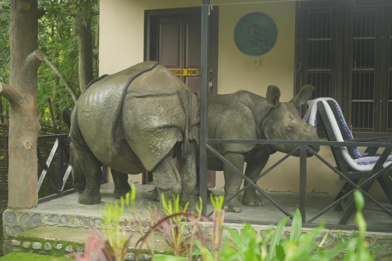 Chitwan Gaida Lodge - Animal Lovers & Birdwatchers Paradise Sauraha Eksteriør bilde