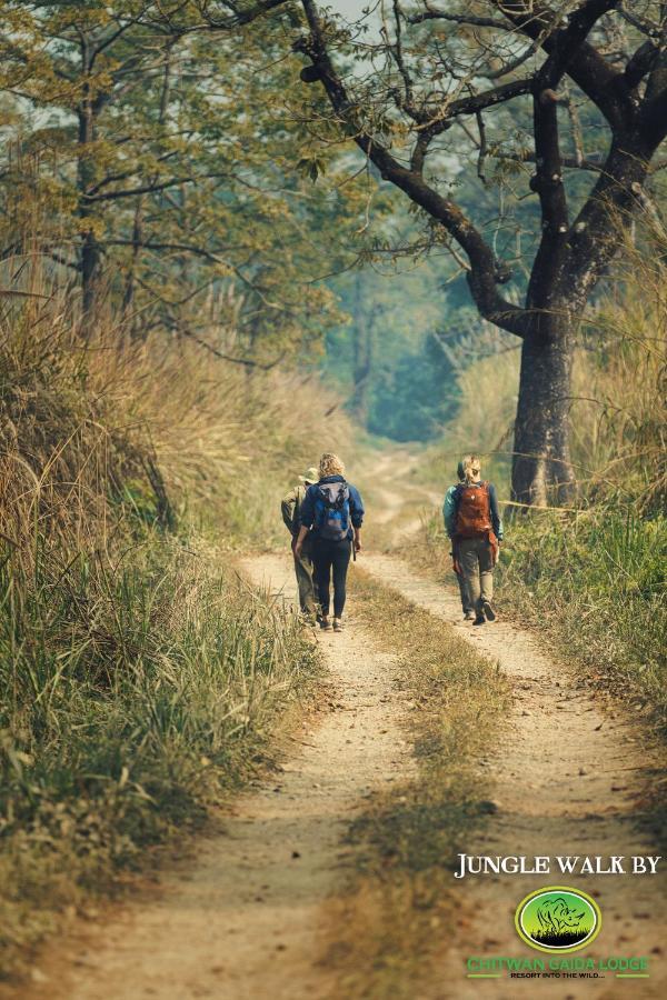 Chitwan Gaida Lodge - Animal Lovers & Birdwatchers Paradise Sauraha Eksteriør bilde