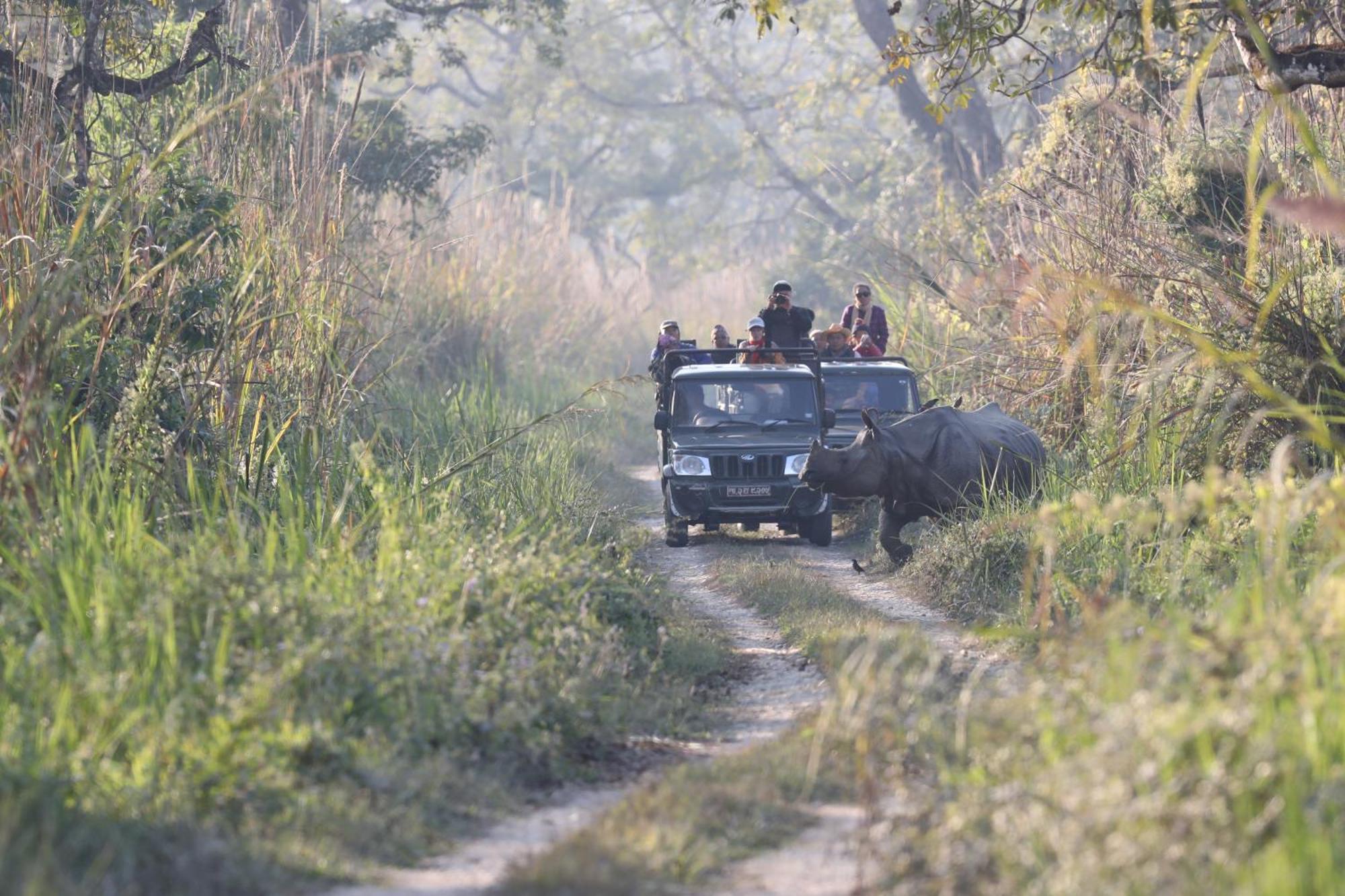 Chitwan Gaida Lodge - Animal Lovers & Birdwatchers Paradise Sauraha Eksteriør bilde