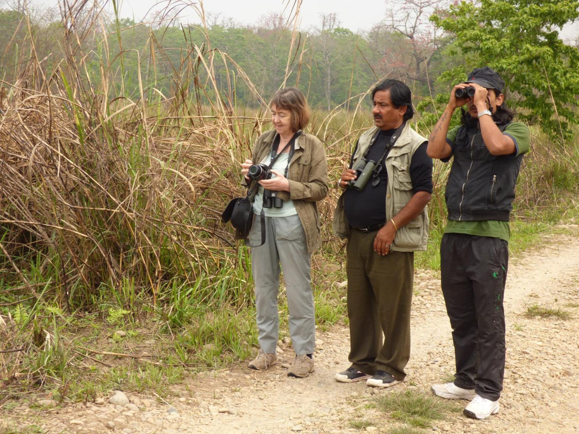 Chitwan Gaida Lodge - Animal Lovers & Birdwatchers Paradise Sauraha Eksteriør bilde
