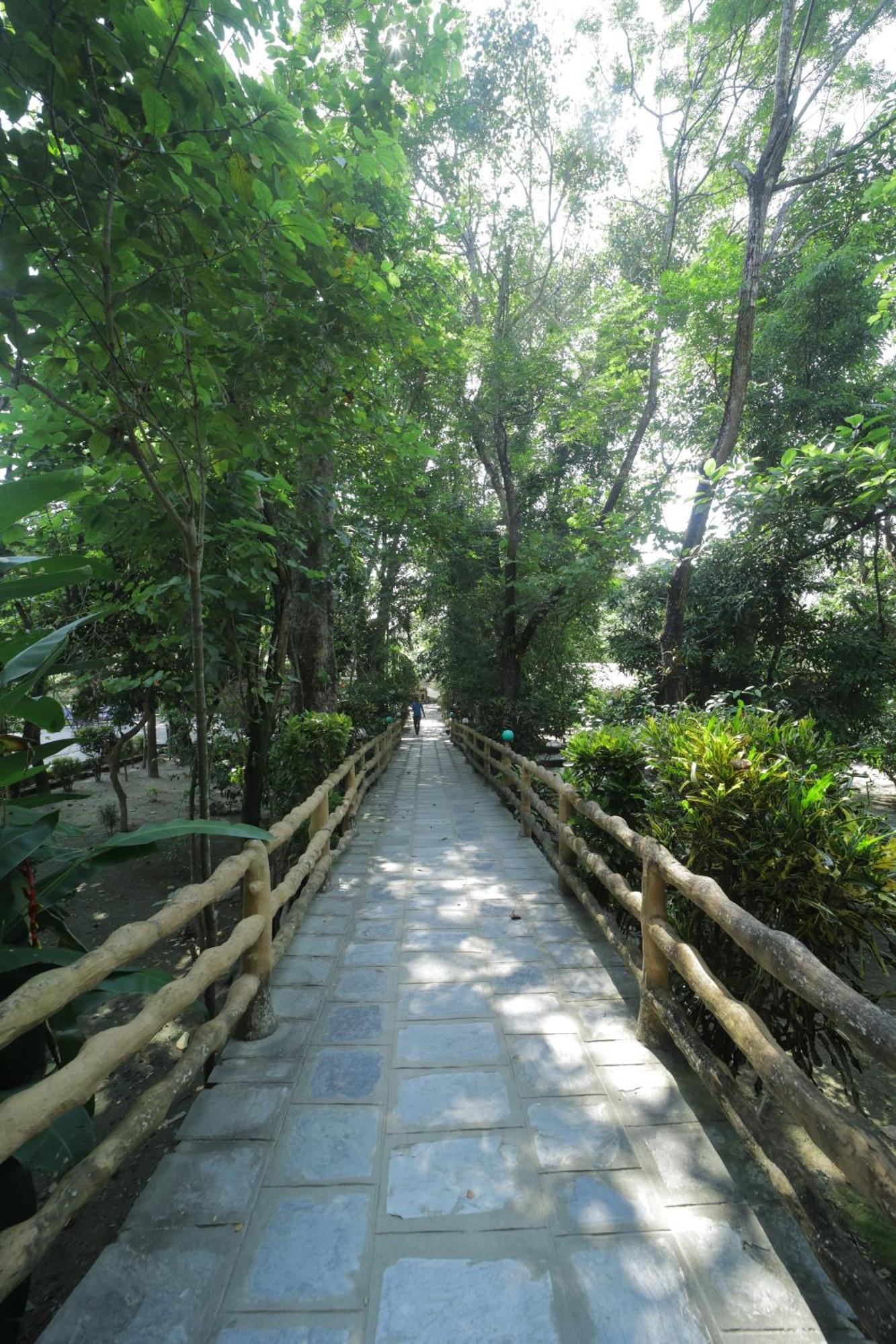 Chitwan Gaida Lodge - Animal Lovers & Birdwatchers Paradise Sauraha Eksteriør bilde
